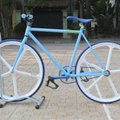 Xe đạp fixie pro vành đúc VD001