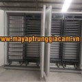 MÁY ẤP TRỨNG NHẬP KHẨU KN-22528