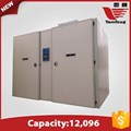 MÁY ẤP TRỨNG VỊT YFDF-12096