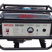 Máy phát điện GENATA GR3300
