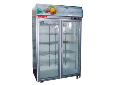Tủ đông Kingsun KS-GCF-1974