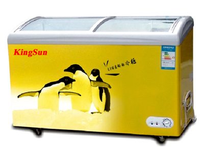 Tủ đông Kingsun KS-SD/C-358