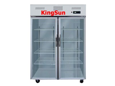 Tủ mát Kingsun KS-2C