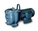Bơm ly tâm Varisco J4-250 (50Hz-7m)