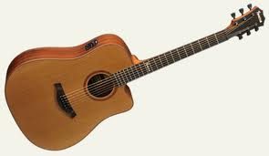 Famosa Acoustic Guitar FD25CUE