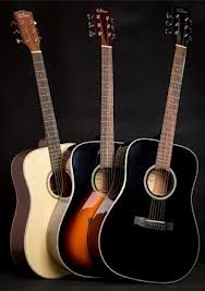 Dove Acousic Guitar DD-110C