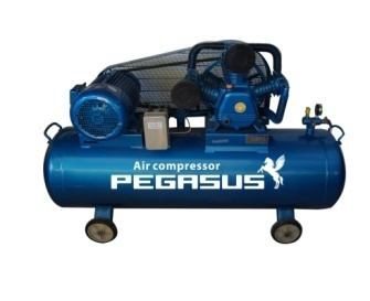 Máy nén khí PEGASUS TM-W-0.9/8-330L
