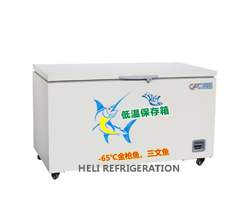 Tủ đông âm sâu Heli DW-60W318