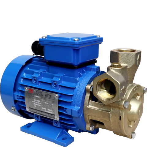 Bơm ma sát bằng đồng thau WULI WPB-20