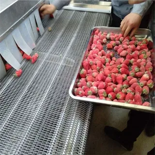 Dây Chuyền Sản Xuất Đông Lạnh IQF 