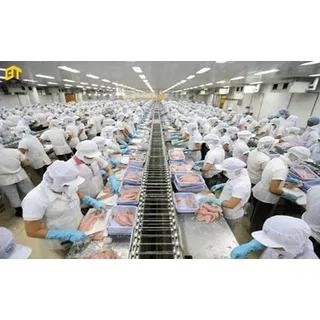 Máy Xay Thịt Chất Lượng Cao YQ-12 