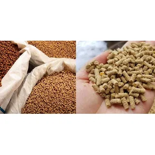 Máy ép cám viên S160-3L 