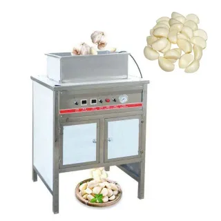 Máy bóc vỏ hành,tỏi công nghiệp DSTP-200 