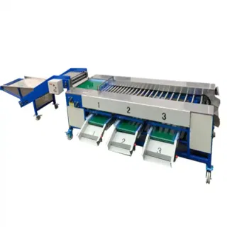 Máy phân loại con lăn trái cây TW1B 