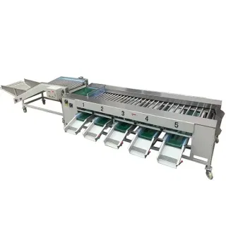 Máy Phân Loại Theo Kích Thước 