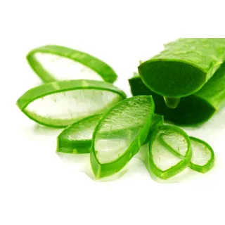 Dây Chuyền Sản Xuất Thạch Nha Đam Giá Tốt Chất Lượng Chính Hãng Nhập Khẩu 